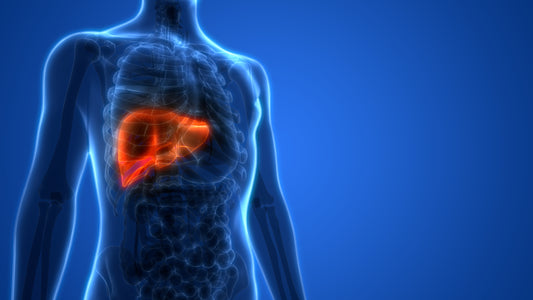 Fatty Liver? There is a Supplement for that!