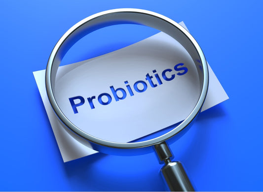 Your Microbiome Matters- The CanPrev Probiotic Difference
