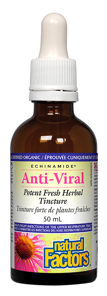 NATURAL FACTORS Echinamide Anti-Viral Tincture (50 ML)