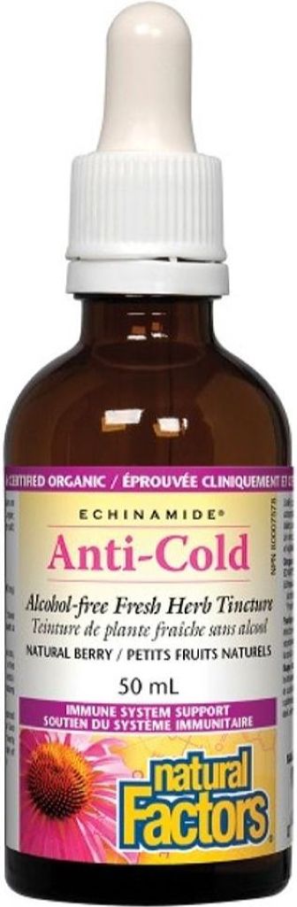 NATURAL FACTORS Echinamide Anti-Cold  (Berry - 50ml)