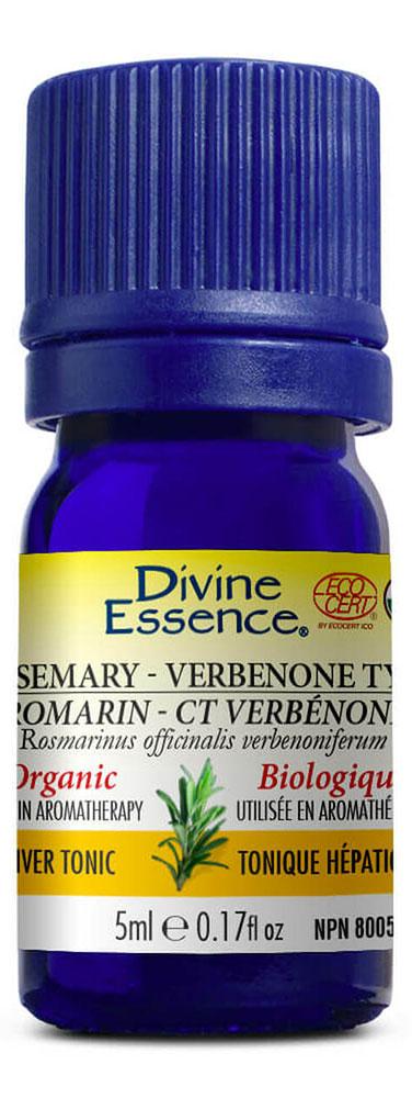 DIVINE ESSENCE Rosemary - Verbenone Type (Organic - 5 ml)